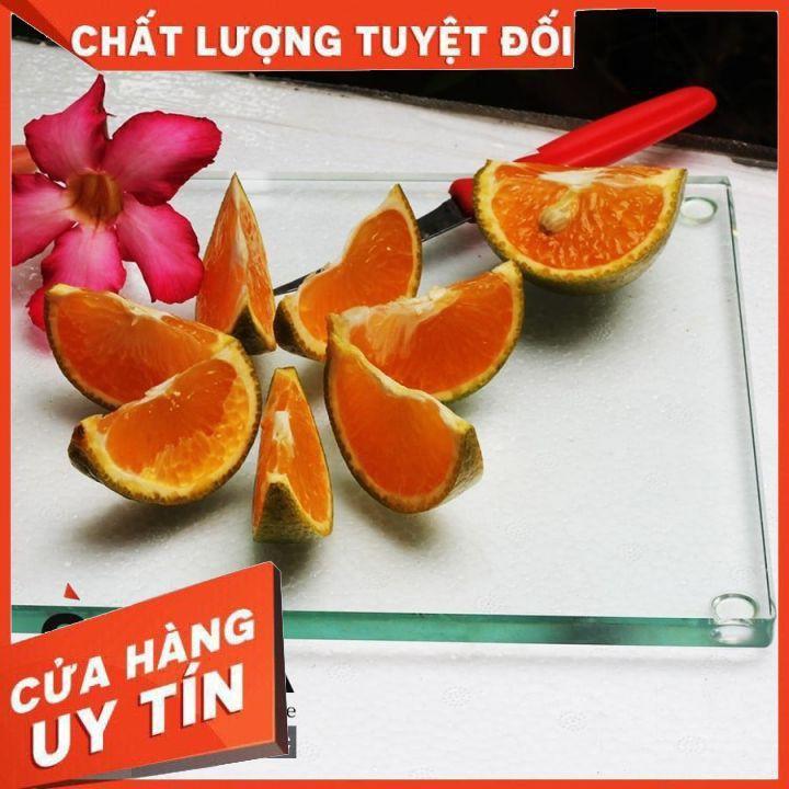 Thớt kính cường lực siêu bền SALA - hàng chuẩn loại 1 Còn Hàng