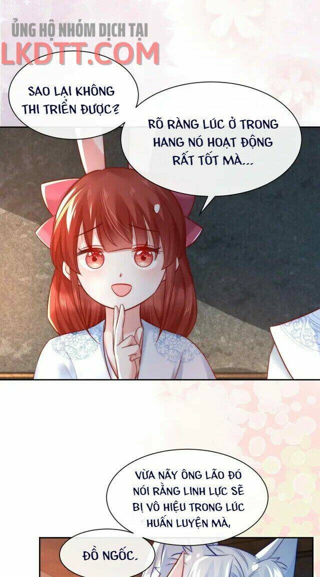 hắc hóa nam chính trực tuyến nuôi thỏ chapter 26 9