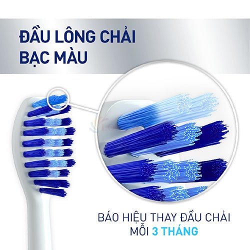 Đầu bàn chải thay thế bàn chải điện P/S S100 PRO (Set 2 cái) - Hàng chính hãng