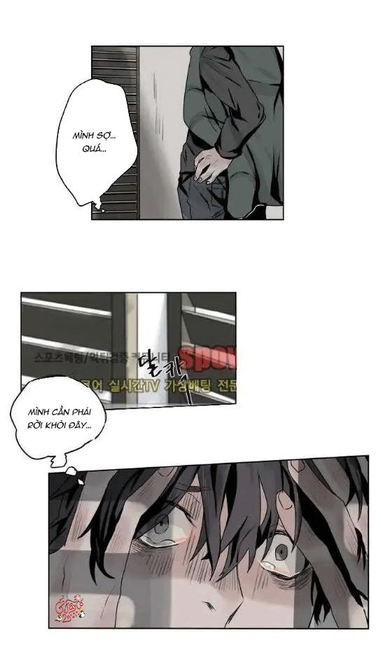 ánh nhìn của quạ chapter 5 6