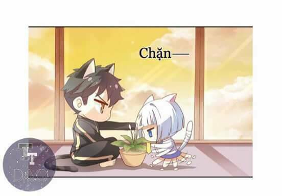 dưới móng vuốt mèo chapter 2 31