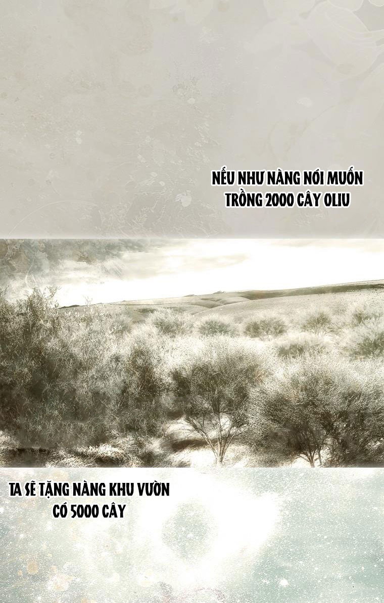 quý cô bí ẩn - secret lady chapter 83.2 13