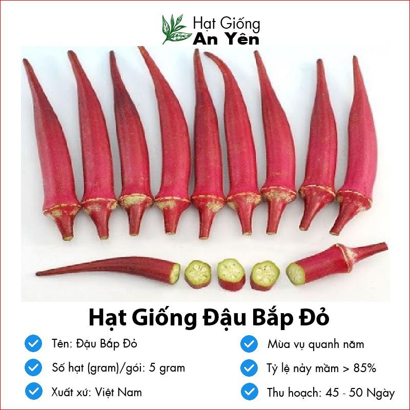 Hạt giống Đậu Bắp Đỏ thu hoạch sớm, dễ trồng, nảy mầm cao, sinh trưởng khoẻ