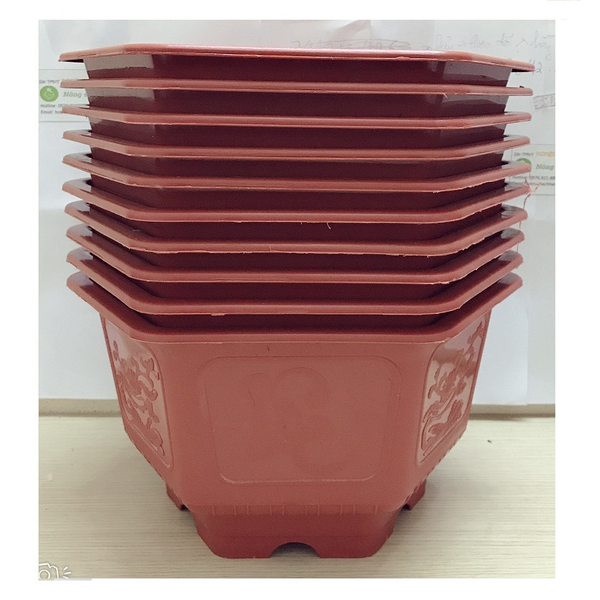 10 chậu nhựa lục giác trồng cây 250x150 - Chậu đẹp bền rẻ chuyên trồng cây cảnh.
