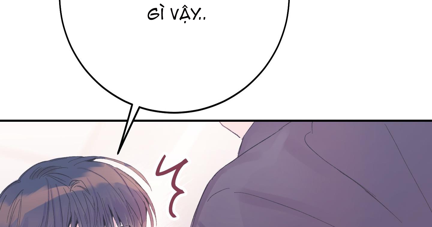 lãng mạn giả dối chapter 6 228