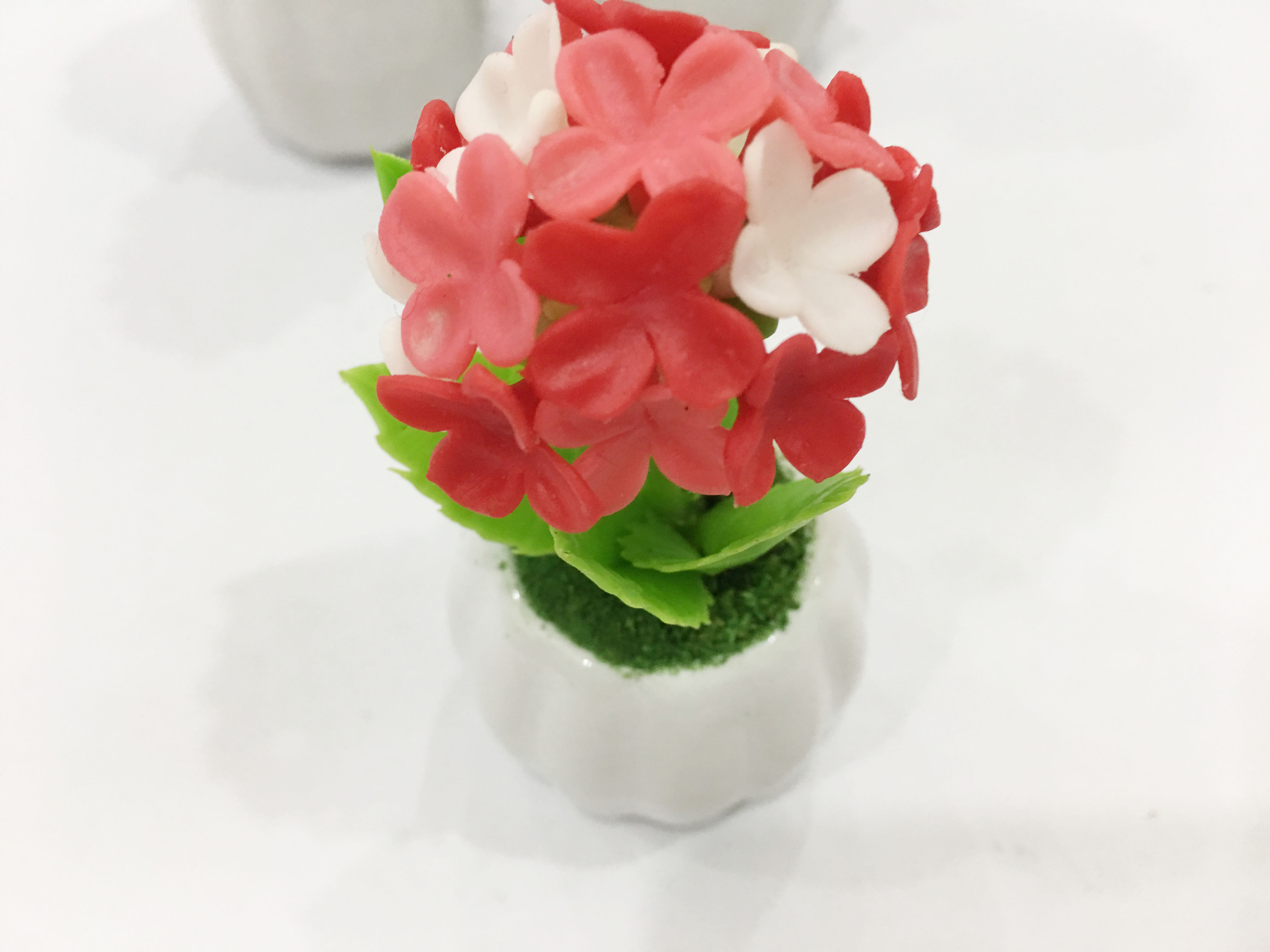 Chậu hoa đất sét mini - Cây hoa sống đời /cây lá bông  - Quà tặng trang trí handmade