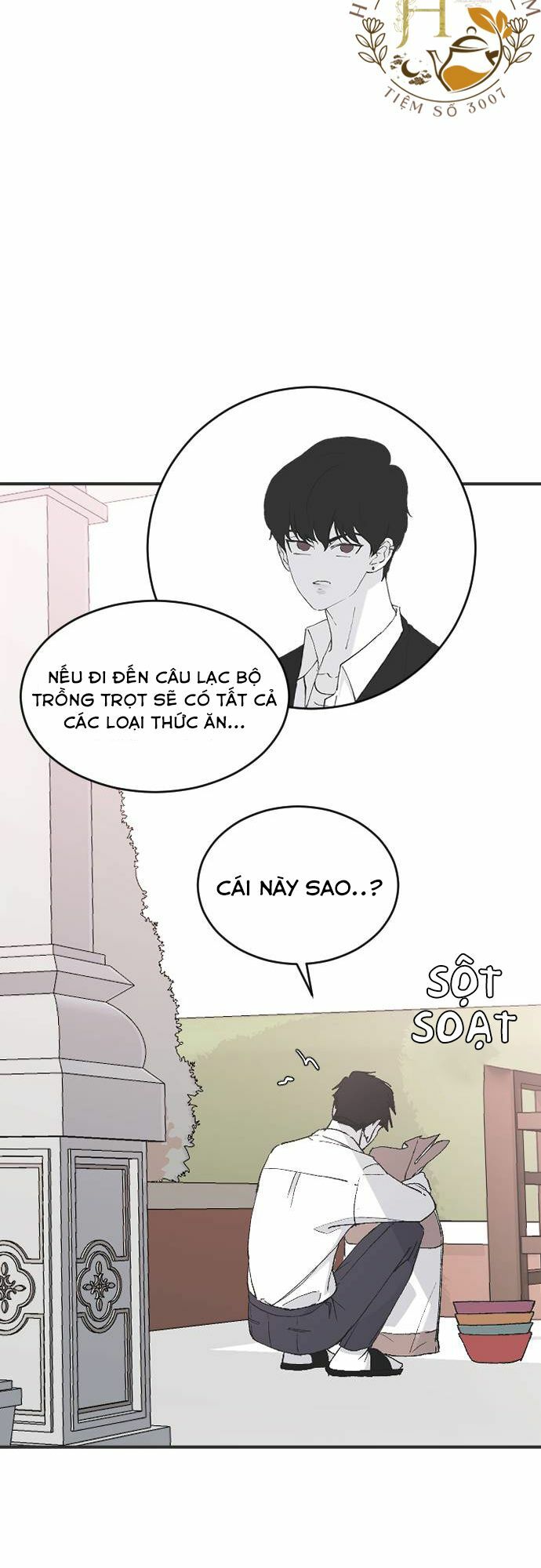 ba người anh trai cực phẩm của tôi chapter 24 34