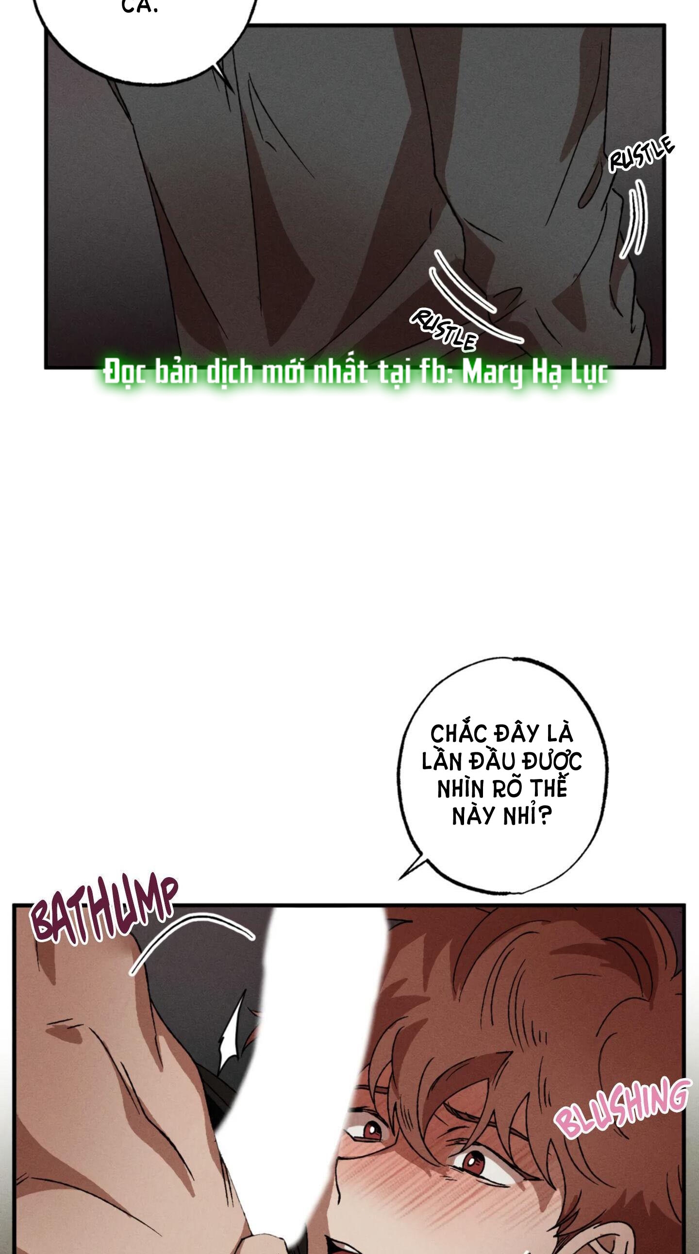 bẫy kép chapter 19.2 19