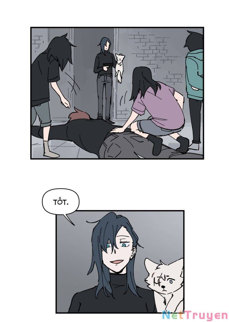lumine - cội nguồn ánh sáng chapter 157 5