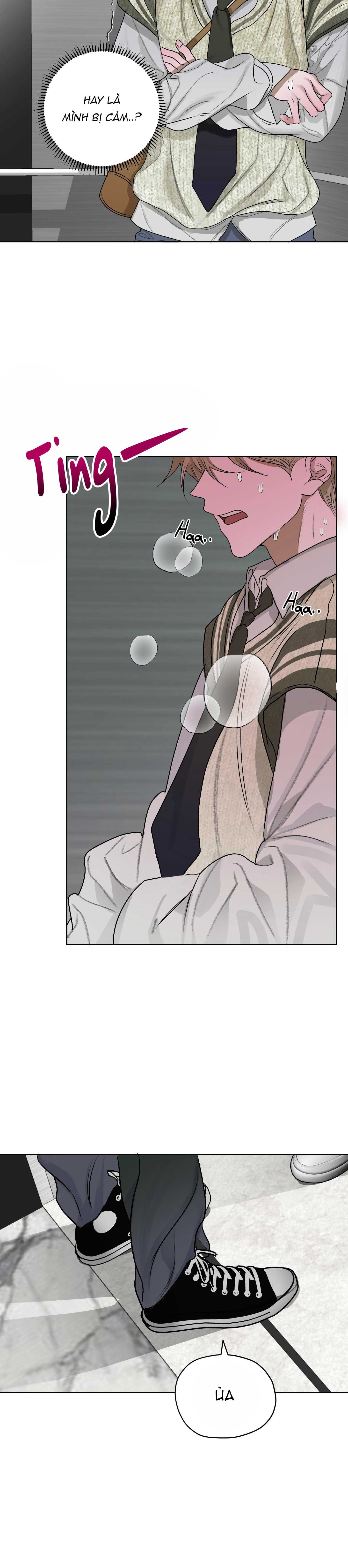 đoá hoa trên mặt hồ chapter 20 25