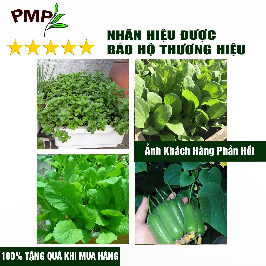 Combo 2 Chai Phân SOYMIC V PMP Siêu Phân Bón Ủ Vi Sinh Từ Đậu Nành, Trứng, Chuối, Humic, Vi Lượng Cho Rau Sạch