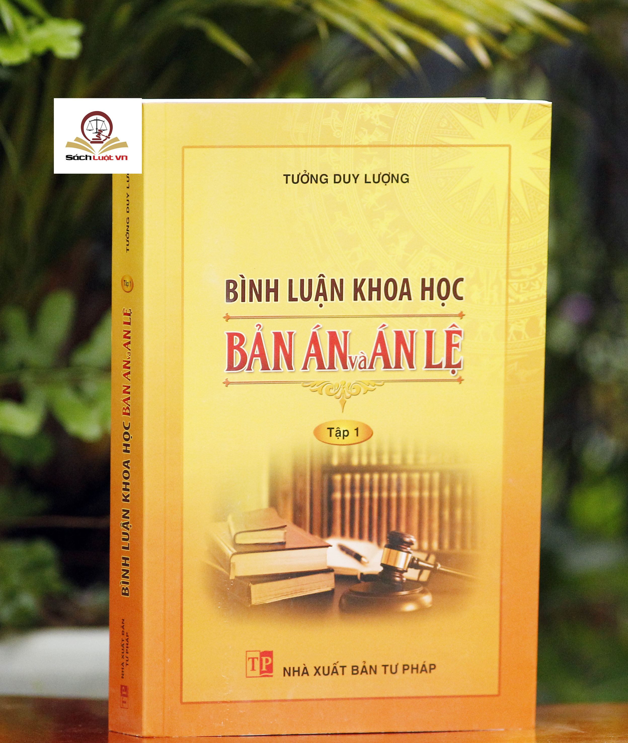 Bình luận khoa học bản án và án lệ - tập 1