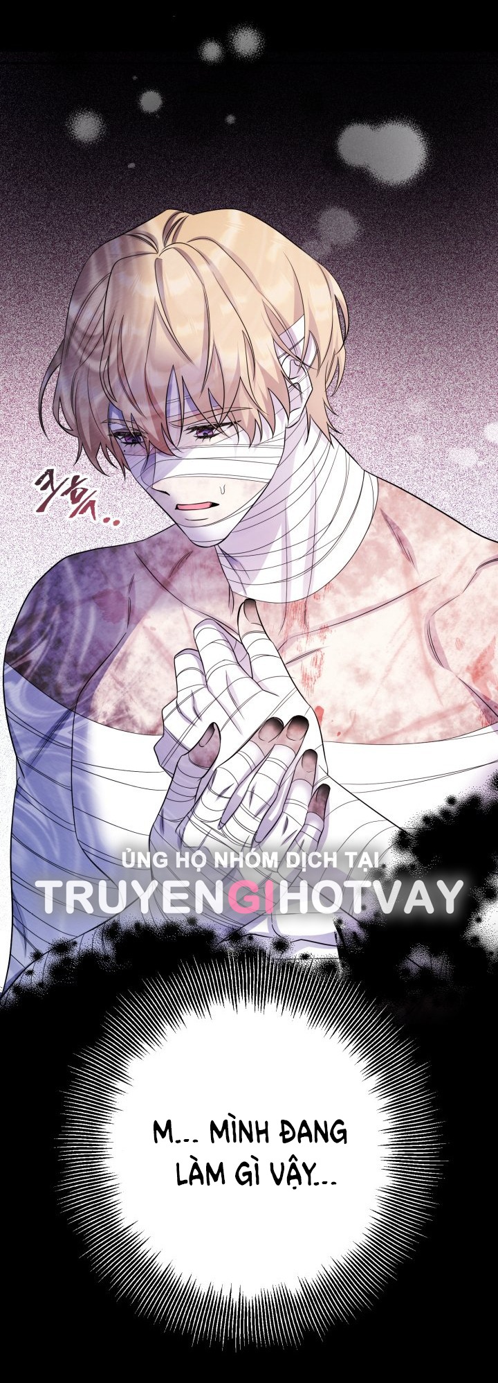 [18+] nếu cứu rỗi một cầm thú hư hỏng chapter 29.1 32