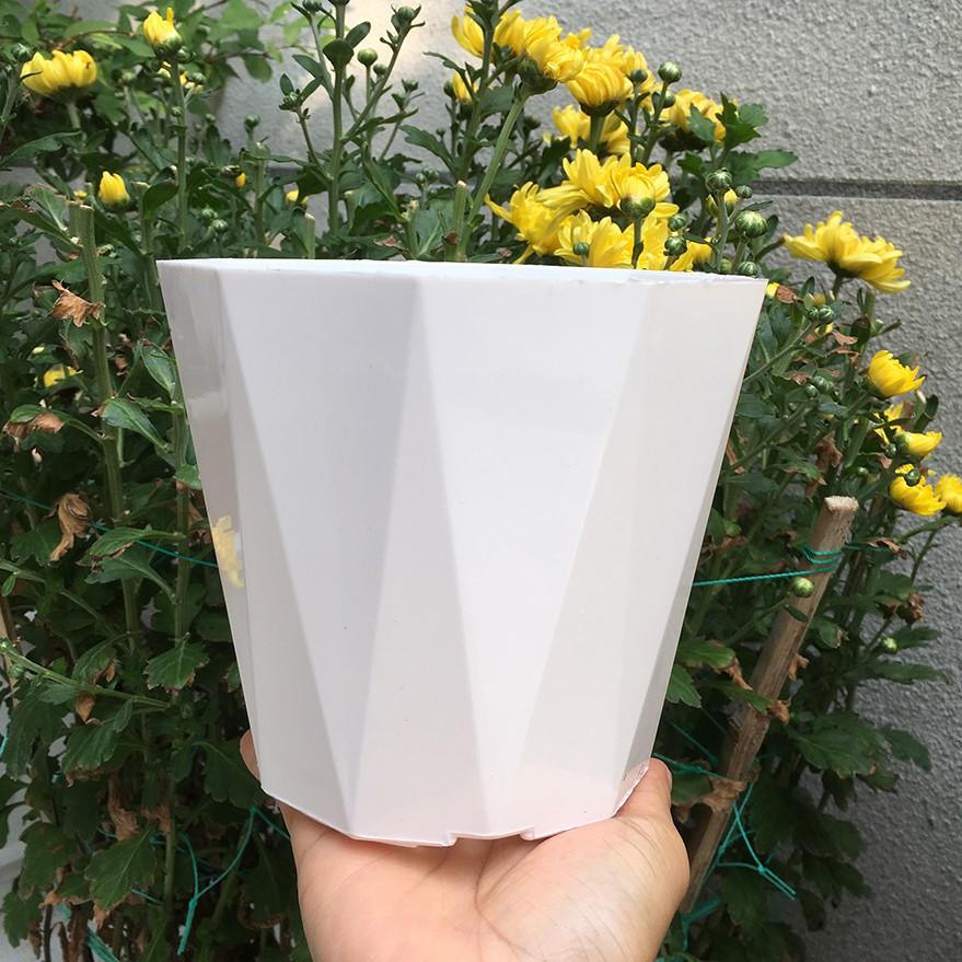 Bộ 10 chậu hoa mười cạnh màu trắng 15x13cm-Đồ Gia Dụng Tại HCM