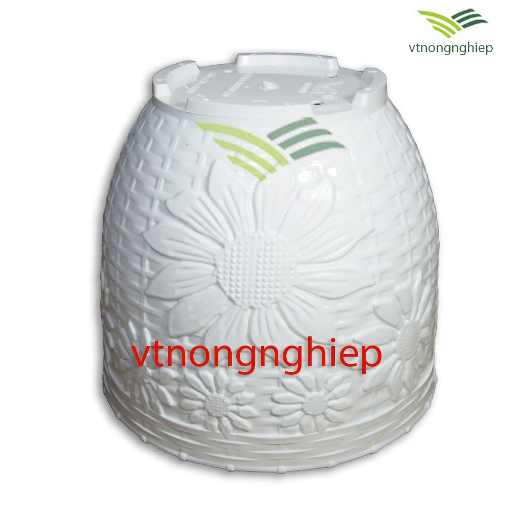 Chậu nhựa trồng cây DMHD phi 21cm- chậu hoa nhựa- vtnongnghiep