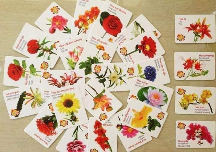 Bộ Thẻ Học Thông Minh Cho Bé, Flashcard Song Ngữ Anh Việt 16 Chủ Đề 416 Thẻ, Đồ Chơi Giáo Dục Sớm