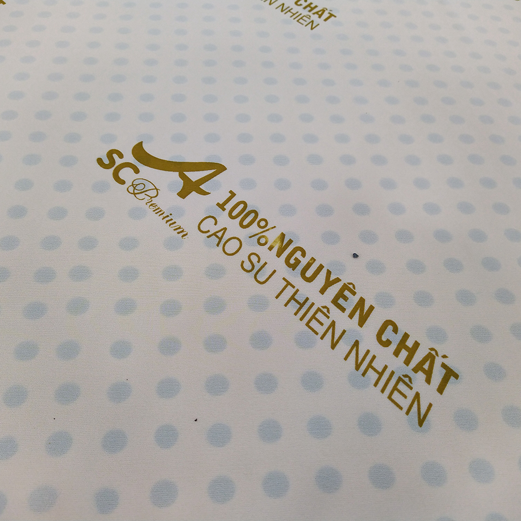 Nệm Cao Su Thiên Nhiên Truyền Thống ASC Kích Thước 2m0x1m4, Độ Dày 10cm