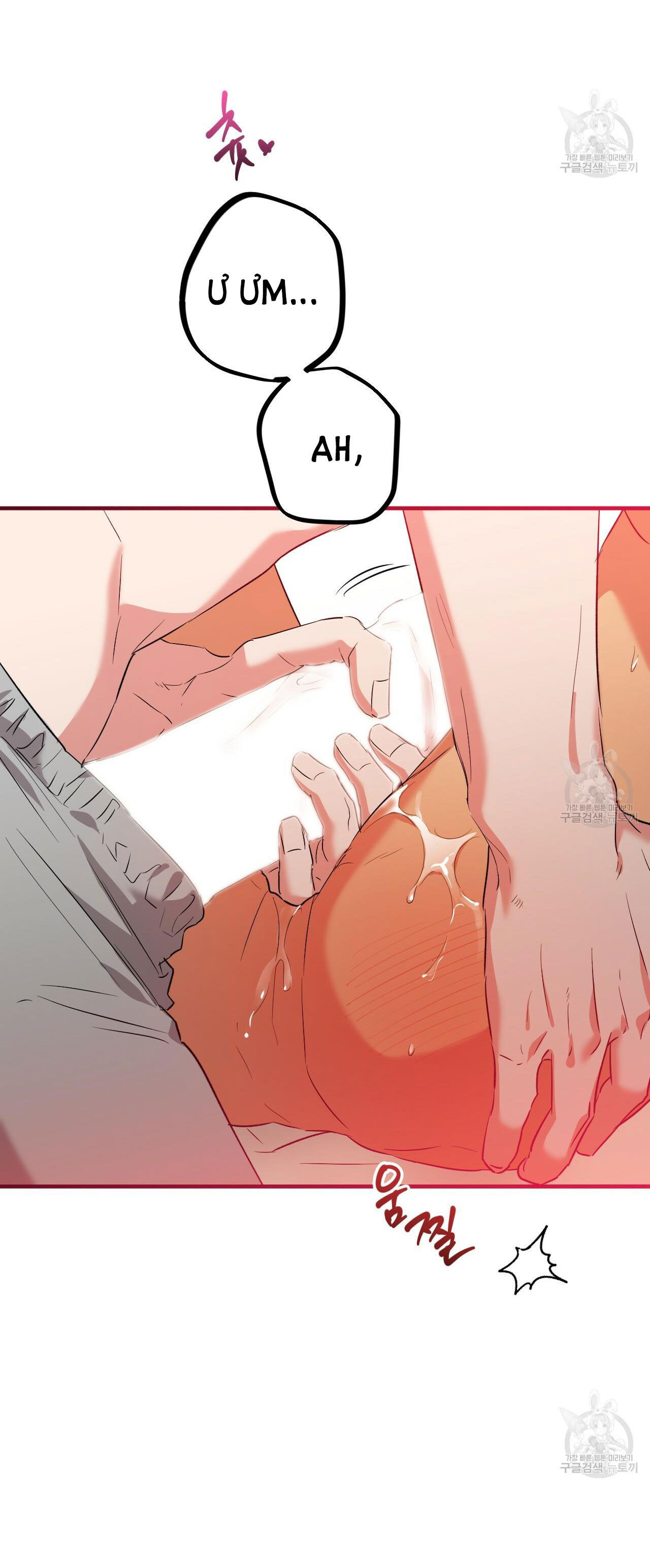 những chú thỏ của hapypy chapter 54.2 22