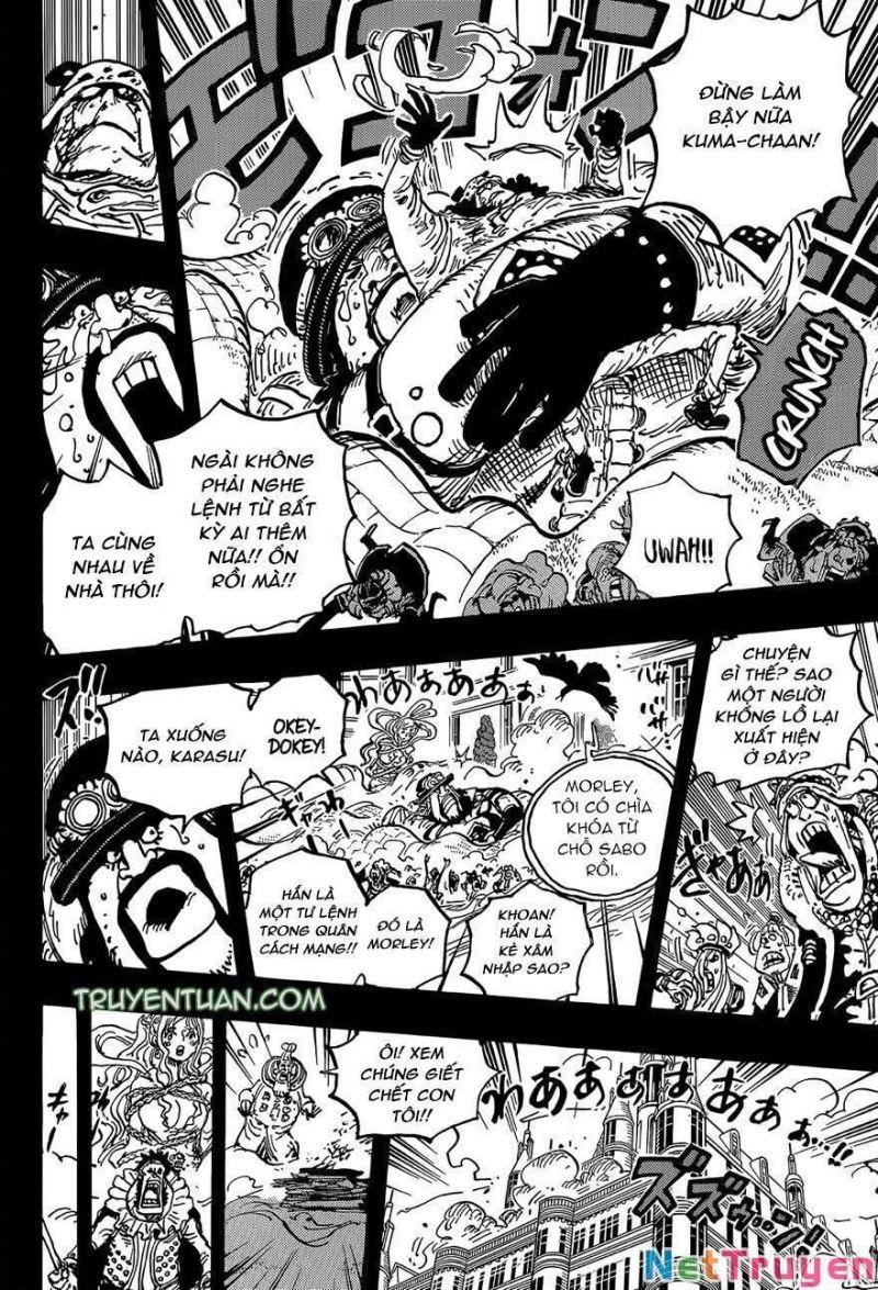 đảo hải tặc - one piece chapter 1084 14