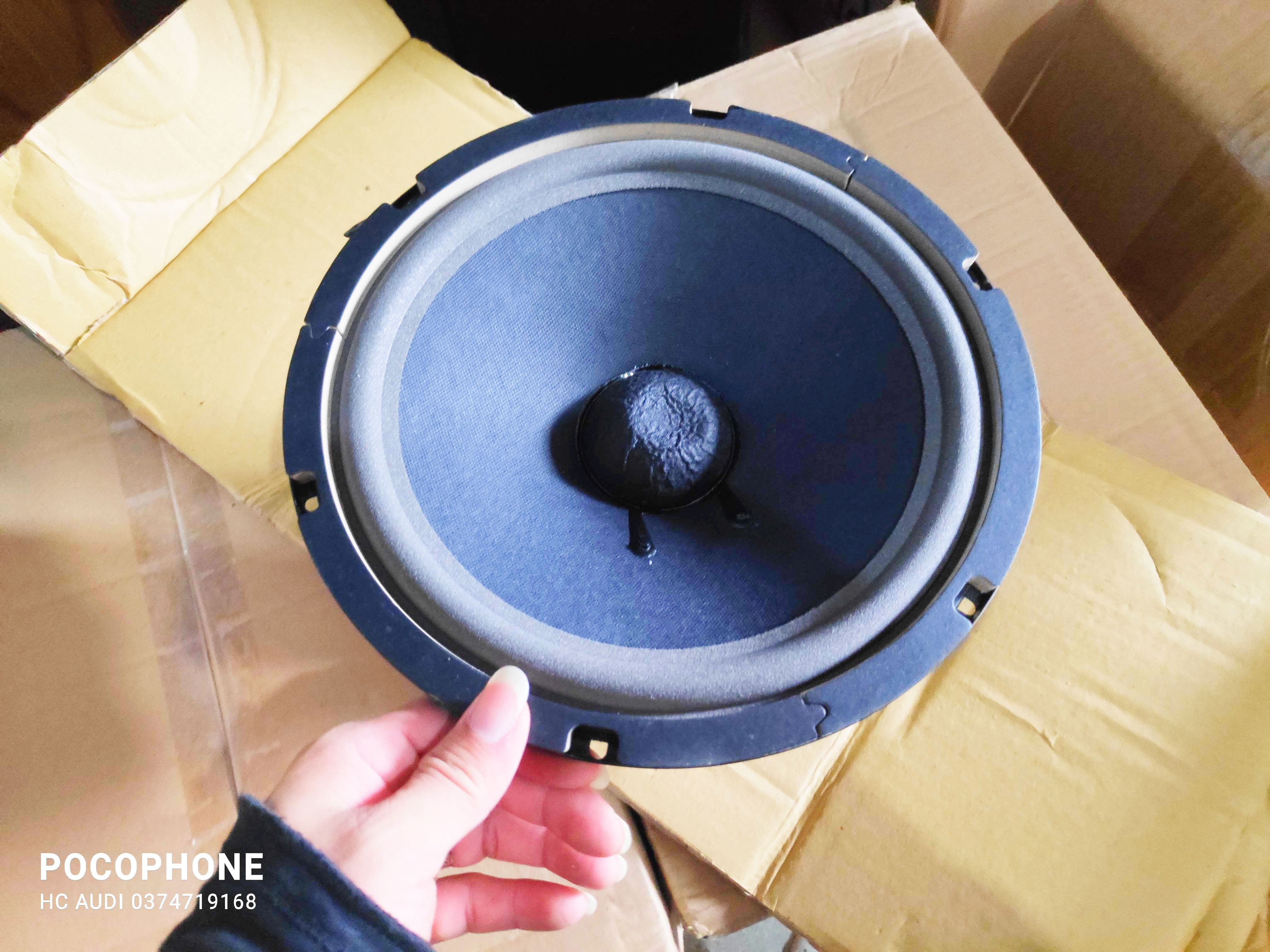 Loa bass rời 25 từ kép