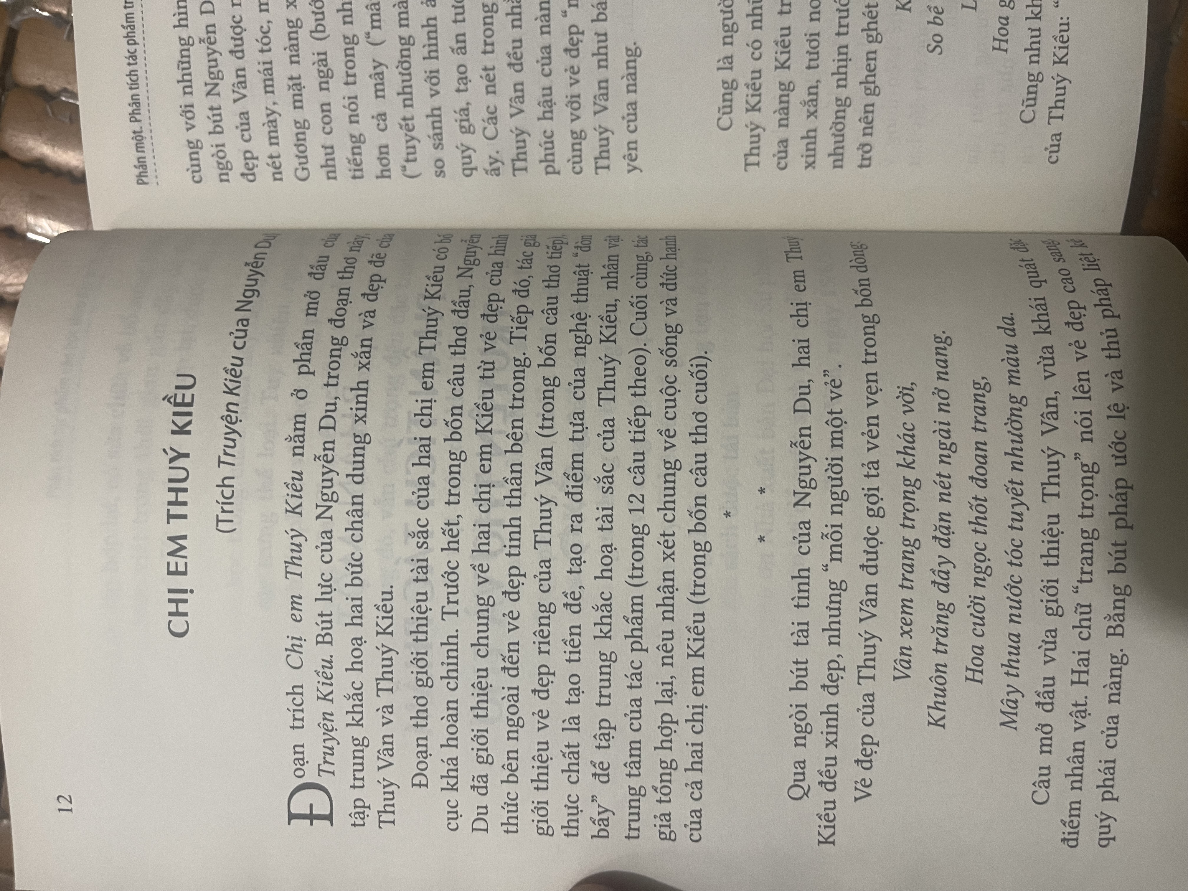 sách phân tích tác phẩm văn học theo đặc trưng thể loại