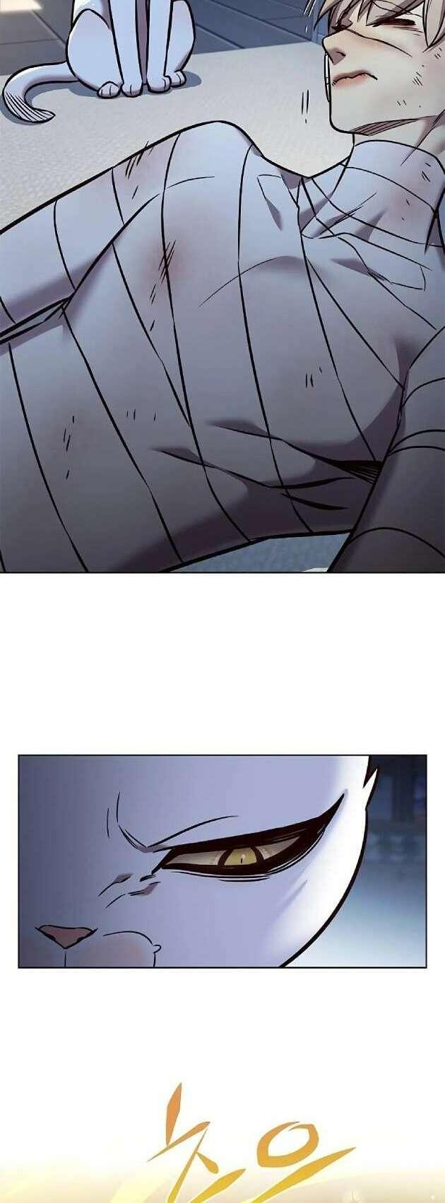 biến thân thành mèo chapter 262 55