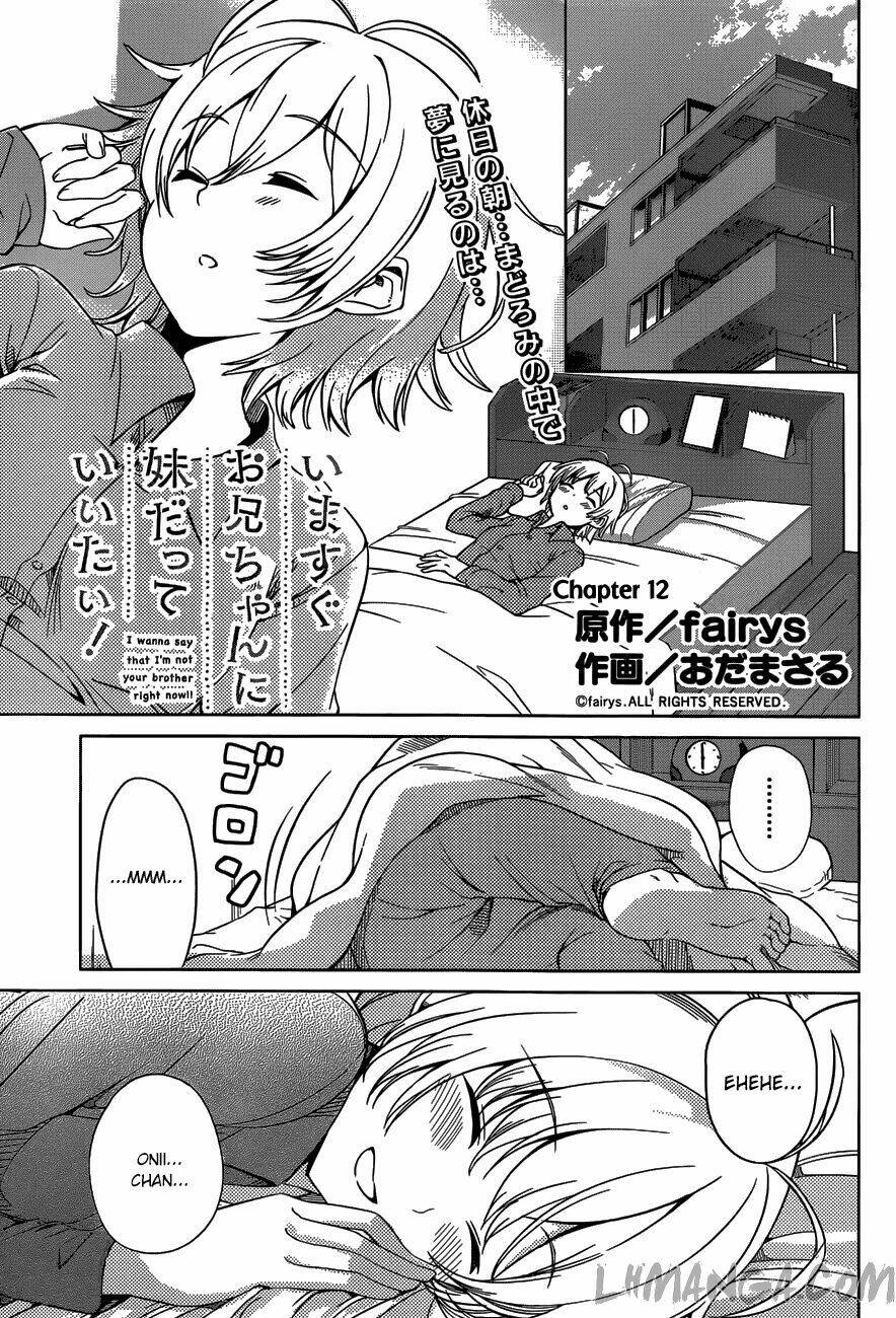 imasugu oniichan ni imouto datte iitai chapter 12 2