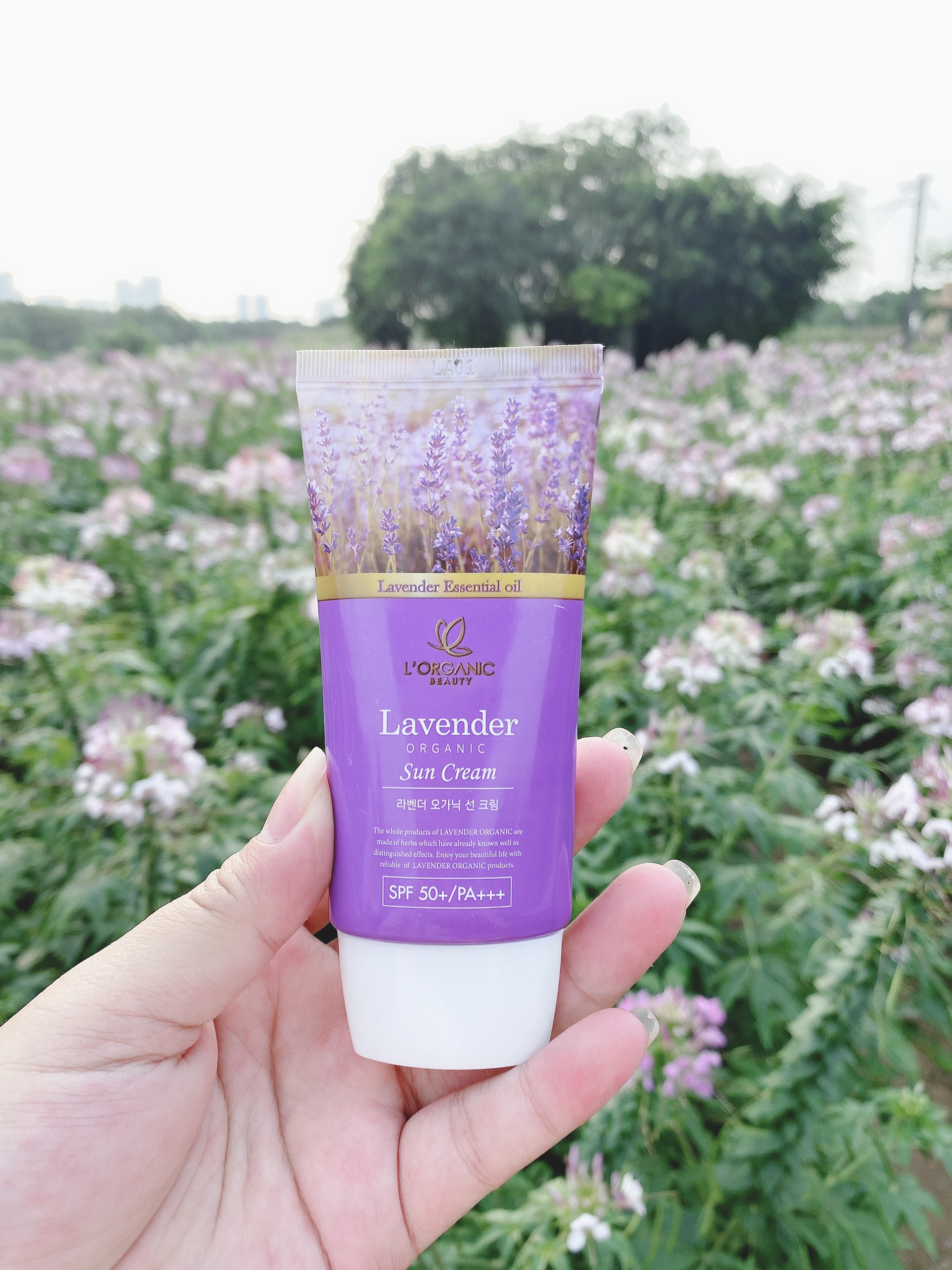 Kem chống nắng Lavender Organic Linh Nhâm, nâng tone, kiềm dầu, không nhờn rít, SPF 50 PA+++ 50g