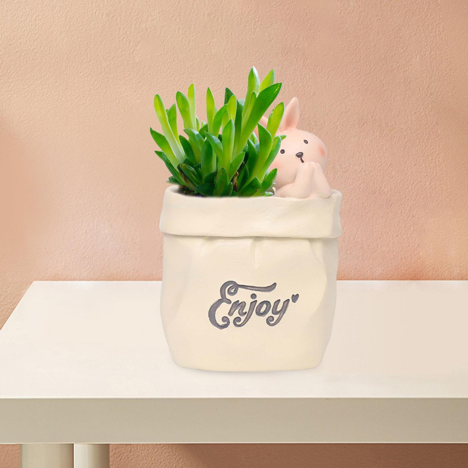 2Pcs Flower Pot Succulent Planter Cute  Decor for Desktop