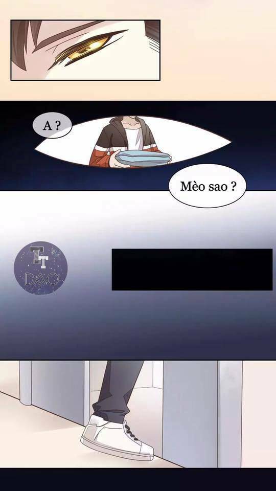 dưới móng vuốt mèo chapter 19 27