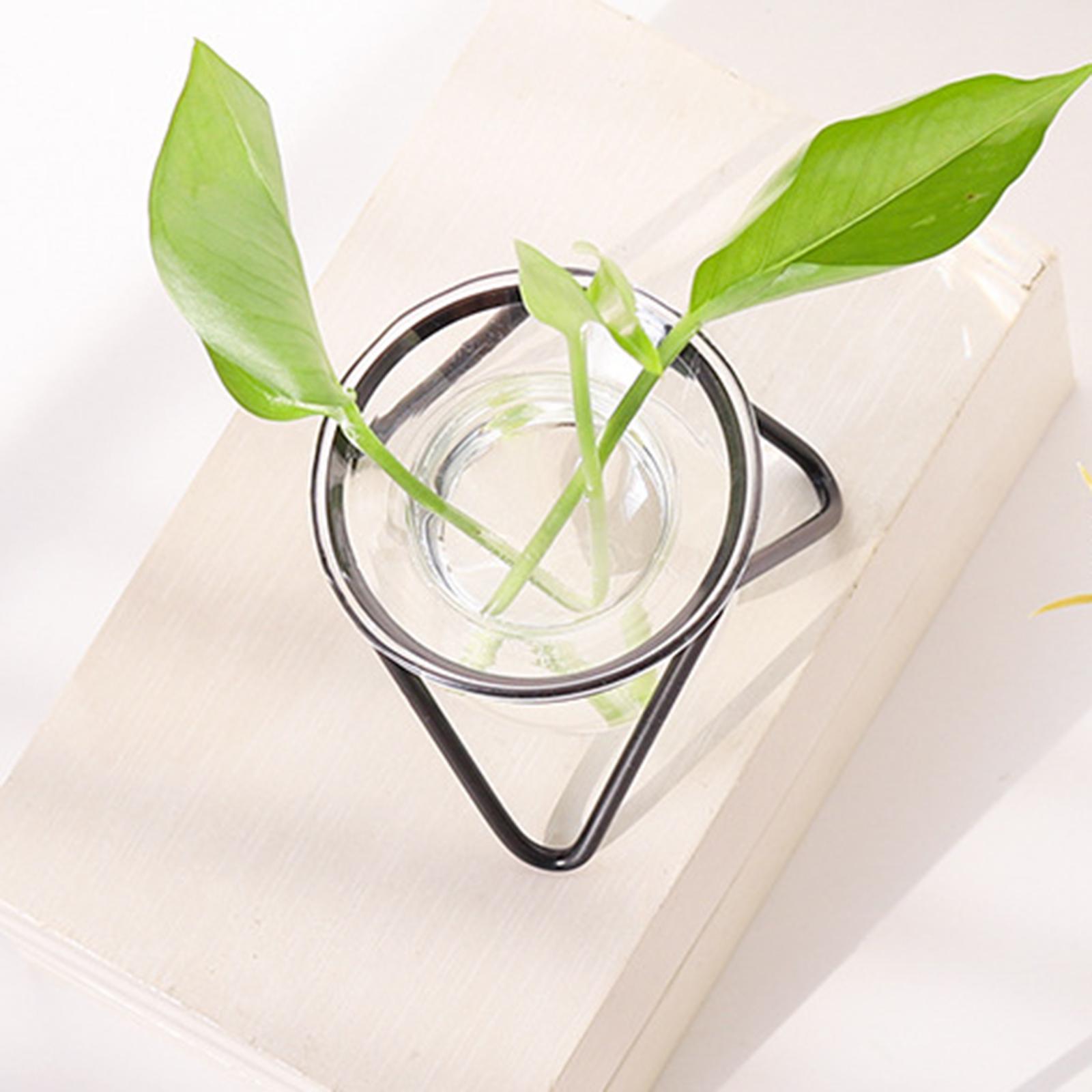 Plant Iron Line Flower Vase Ornament Home Art Desktop