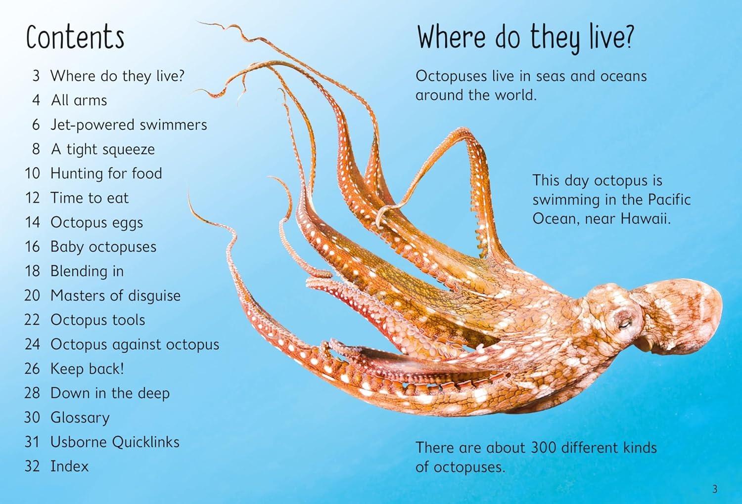 Sách ngoại văn: Beginners Octopuses