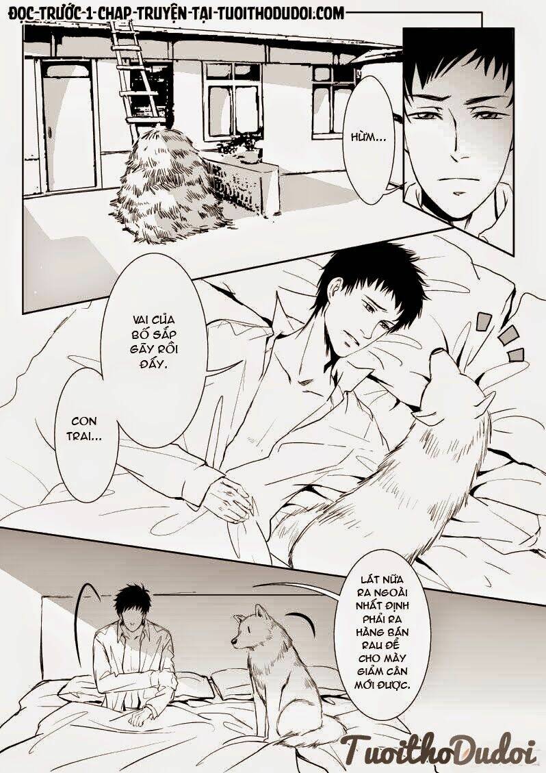 sự mê hoặc của sói chapter 11 2