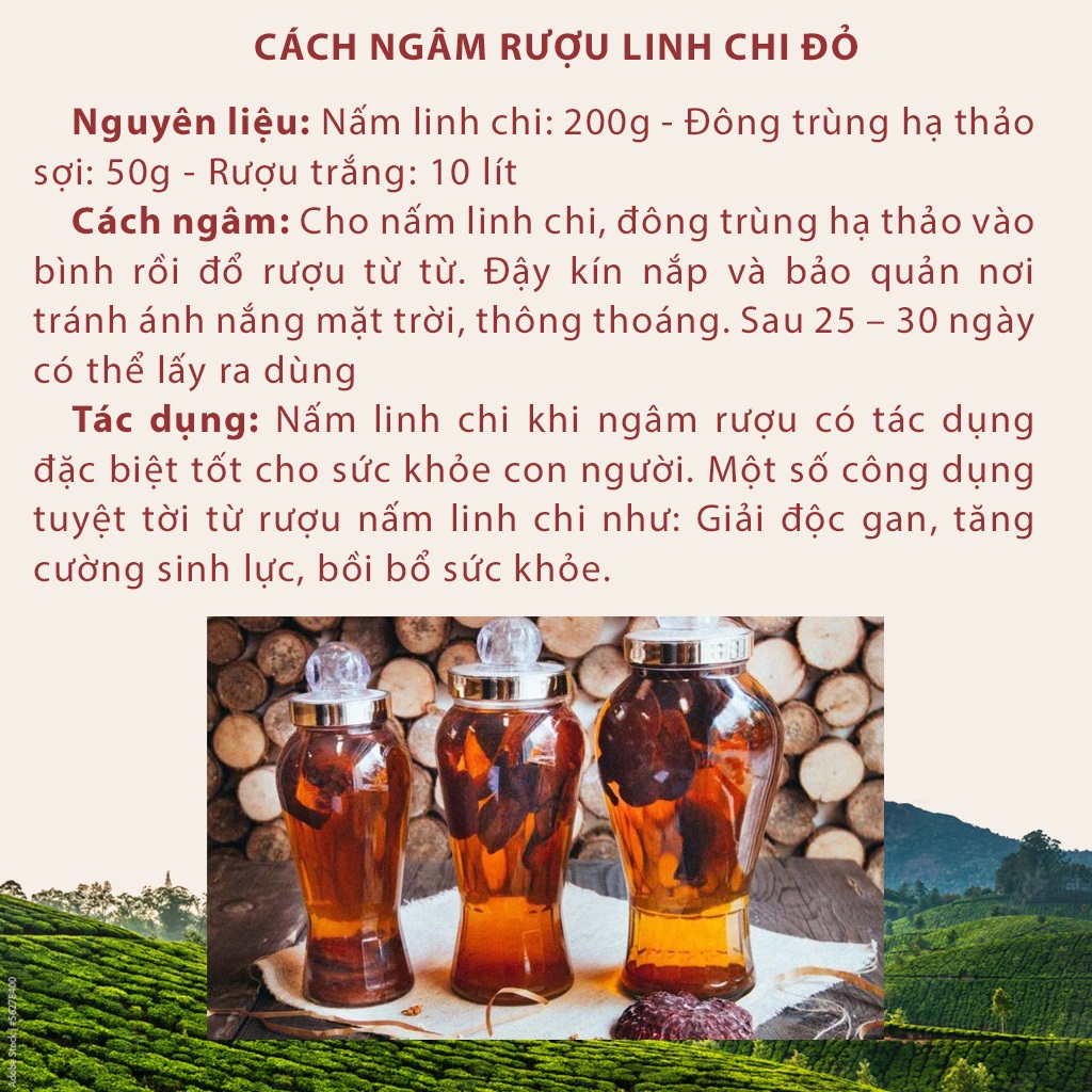 Nấm Linh Chi Đỏ Thương Hiệu Giang Phong Đạt Chuẩn OCOP 4 Sao , Thực Phẩm Giàu Chất Dinh Dưỡng Tốt Cho Sức Khỏe - Rất Phù Hợp Làm Quà Biếu Tặng Cho Gia Đình Và Những Người Thân Yêu Của Bạn