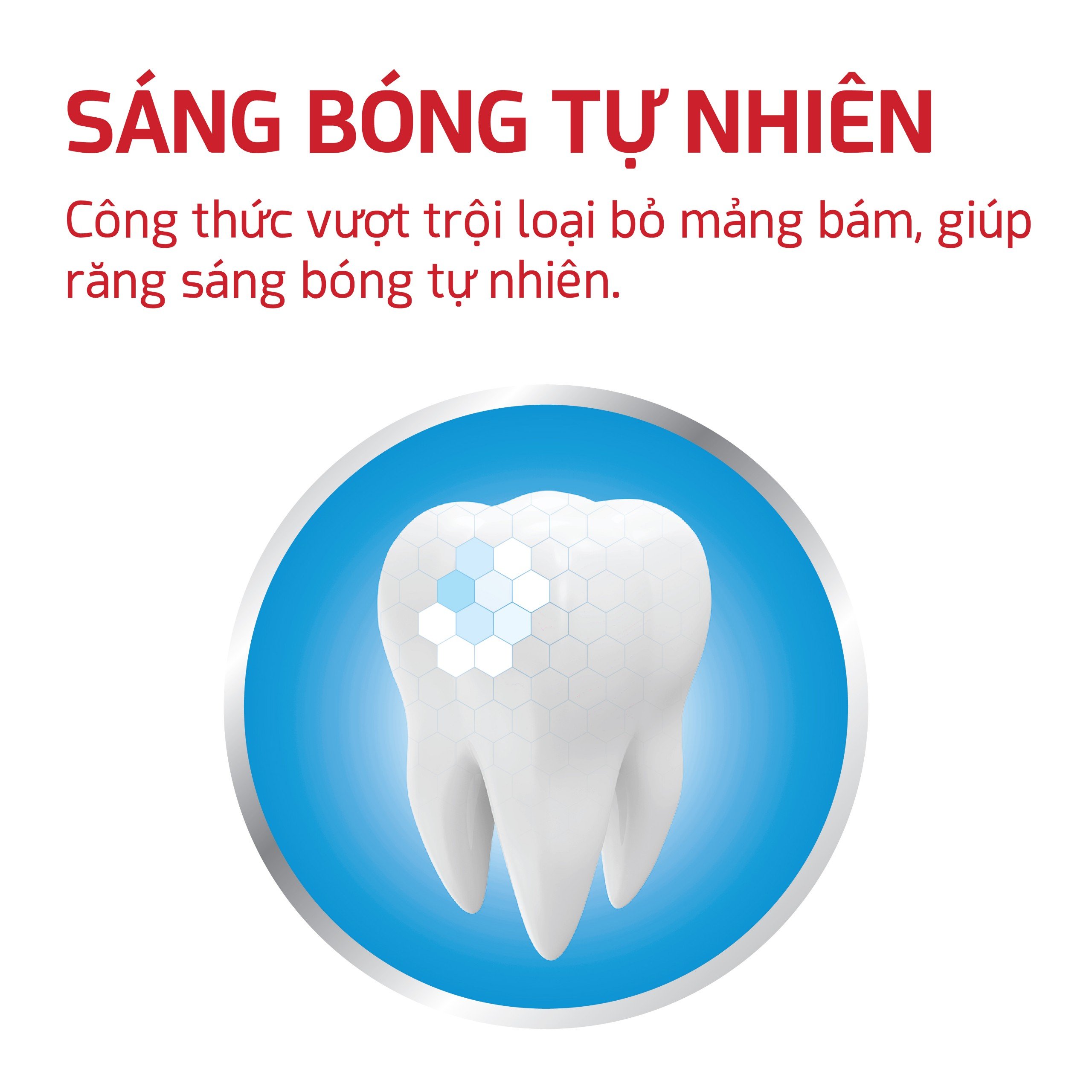 Kem Đánh Răng 3 Tác Dụng (Tuýp 190g) Thành Phần Thiên Nhiên, Ngừa Sâu Răng, Trắng Răng, Cho Hơi Thở Thơm Mát