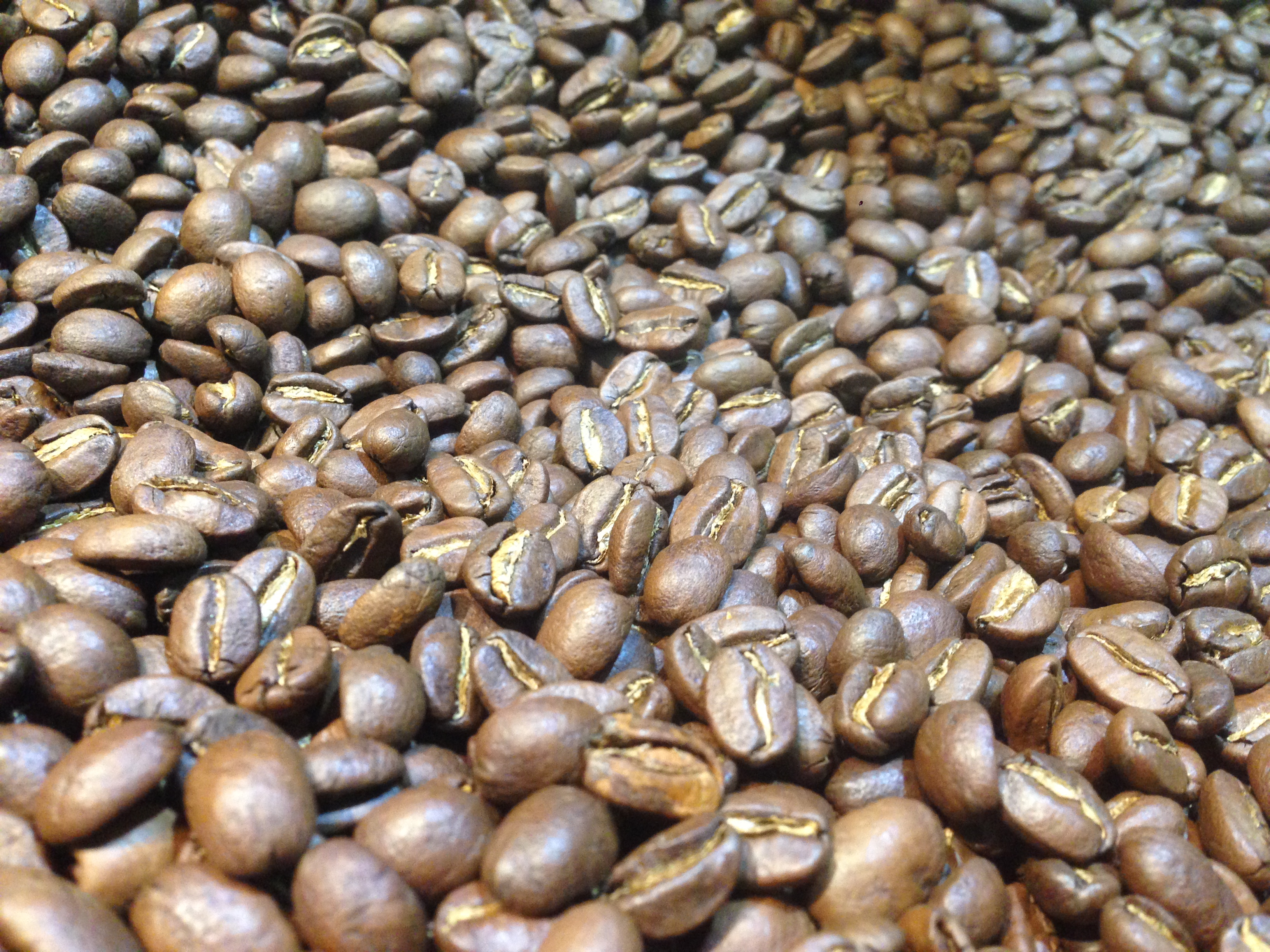 Cà phê bột truyền thống số 1  Coffee Tree 100% nguyên chất gu đậm hương nhẹ