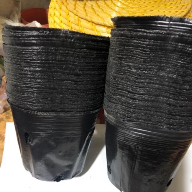 Bầu ươm cây giống kích thước 21x17