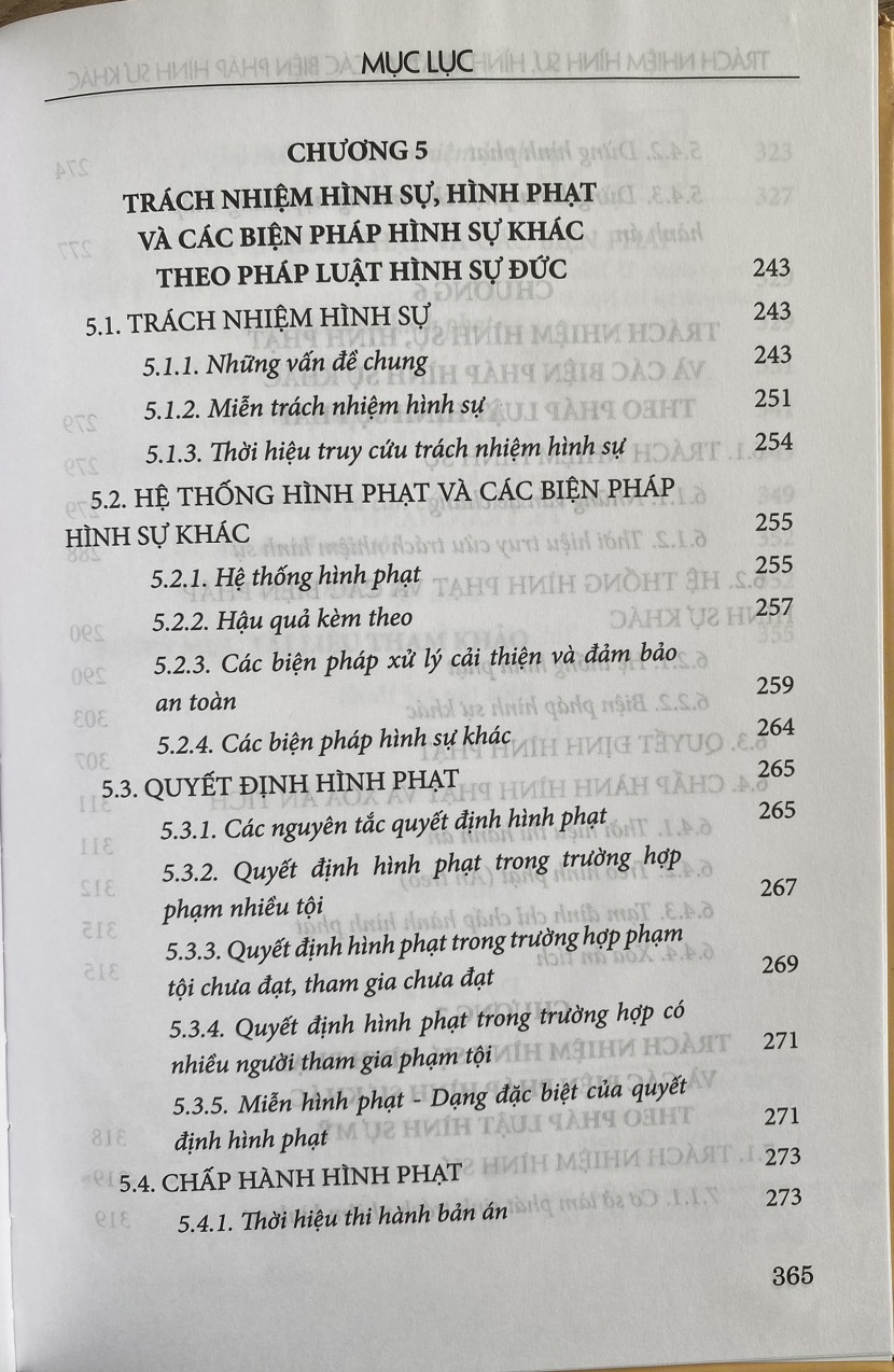 Trách nhiệm hình sự, hình phạt và các biện pháp hình sự khác