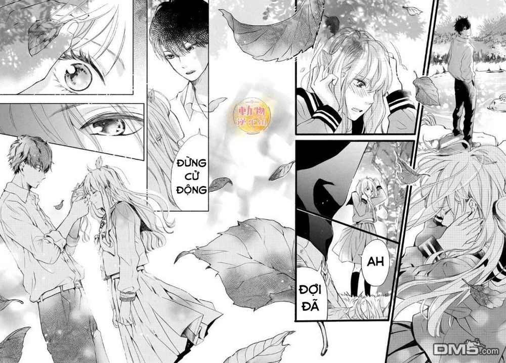 mikansei demo koi ga ii. chapter 2 42