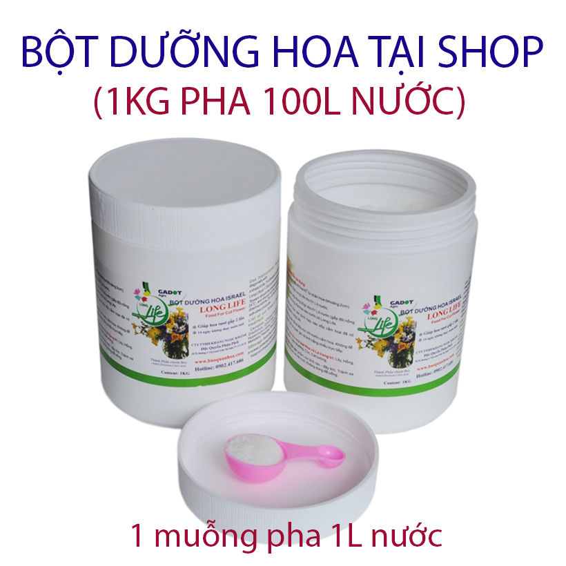 Thuốc cắm hoa lâu tàn Longlife SG nhập khẩu Israel giúp hoa cắm xốp tại Shop Hoa Florist tươi gấp 2 lần và hạn chế thay hoa định kỳ