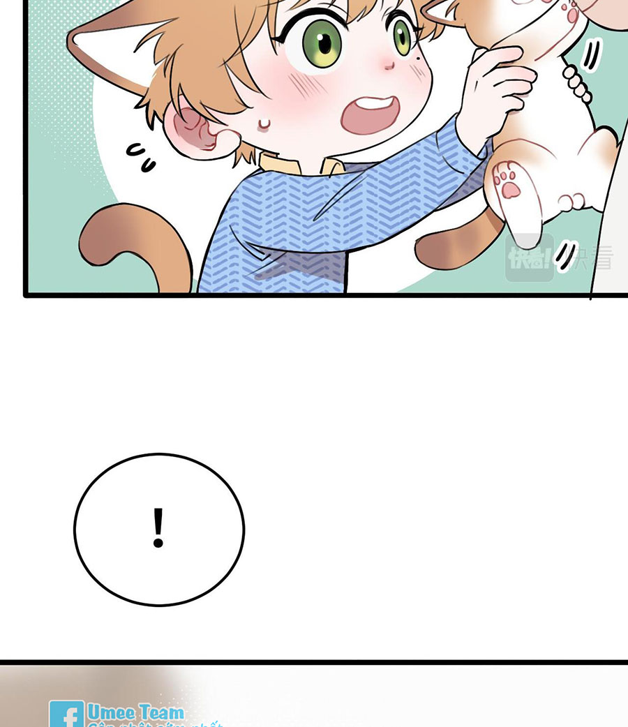 rốt cuộc bé mèo đang nghĩ gì ? chapter 12 3