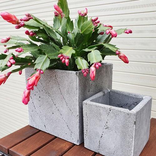 2 Chậu Hoa Đá Ong Xám V15x15cm, V10x10cm Để Bàn Làm Việc