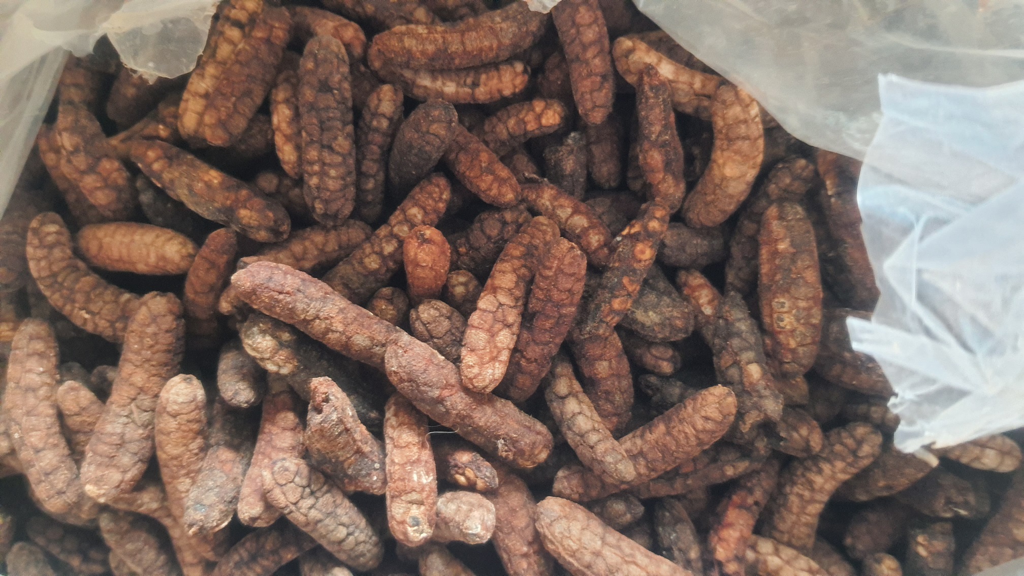 Combo 3kg CHUỐI HỘT RỪNG Kon Tum đóng gói hút chân không-dacsanvaduoclieukontum