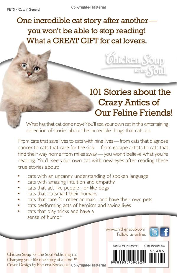 Chicken Soup for the Soul: I Can't Believe My Cat Did That! : 101 Stories about the Crazy Antics of Our Feline Friends