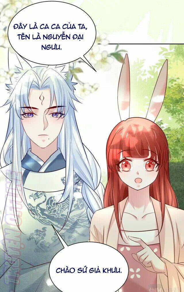 hắc hóa nam chính trực tuyến nuôi thỏ chapter 45 12