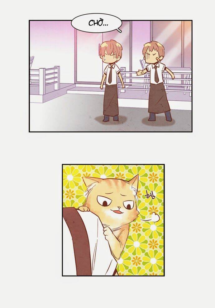 evergreen tea chapter 8 27