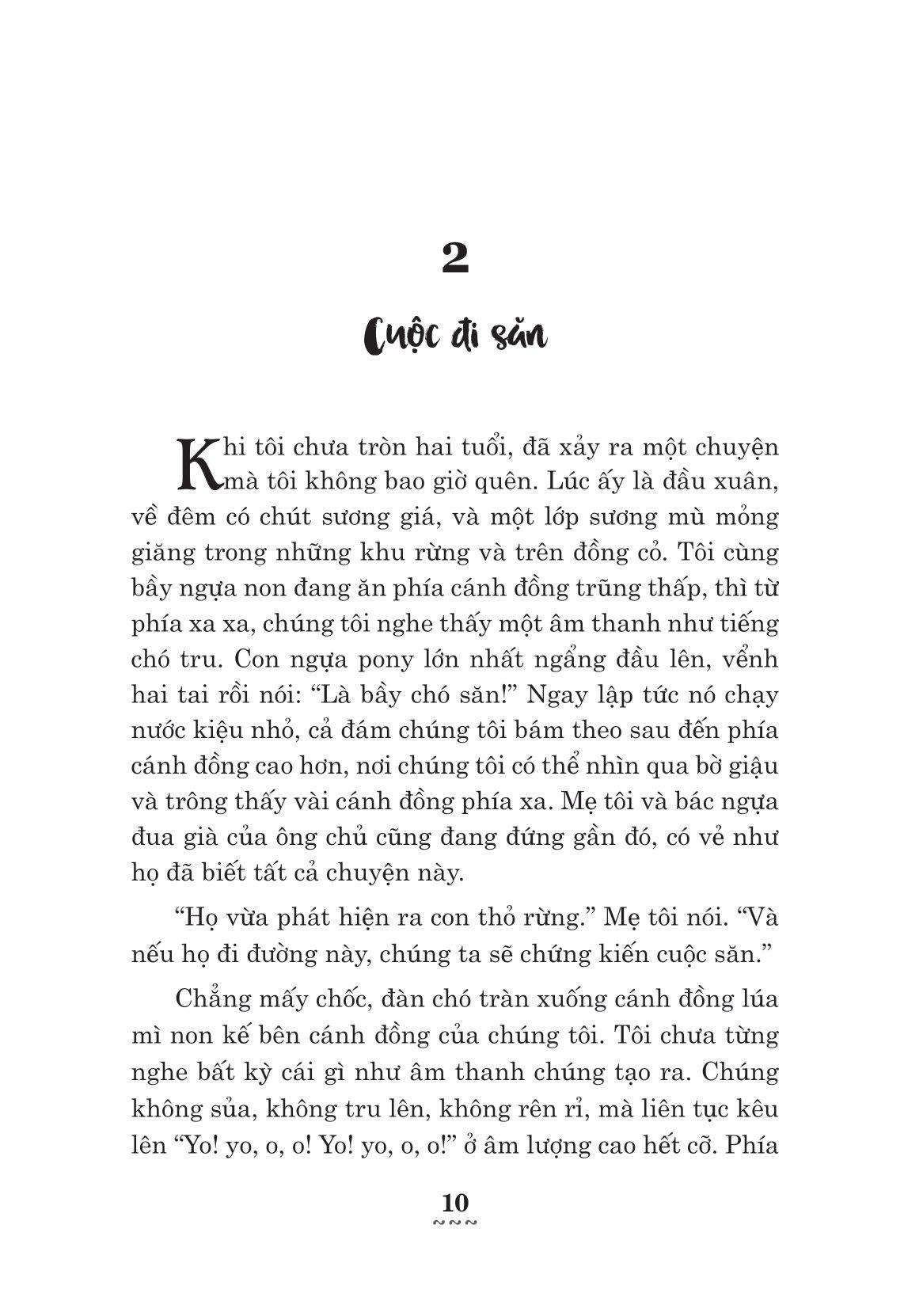 Ngựa Ô Yêu Dấu