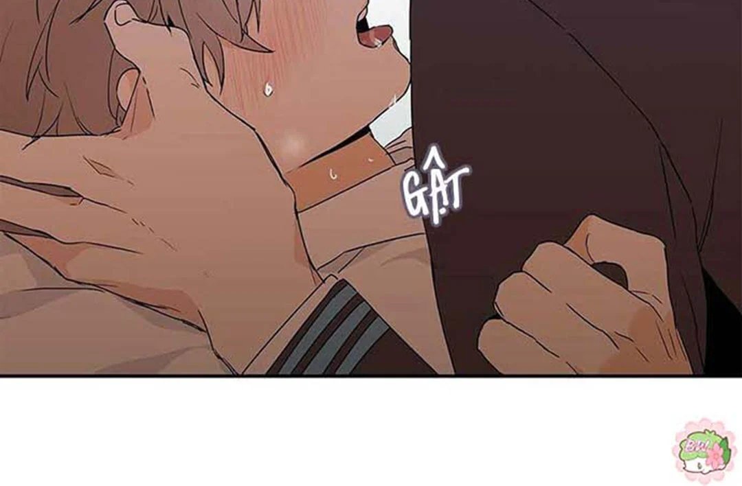 guide cấp b chapter 8 120