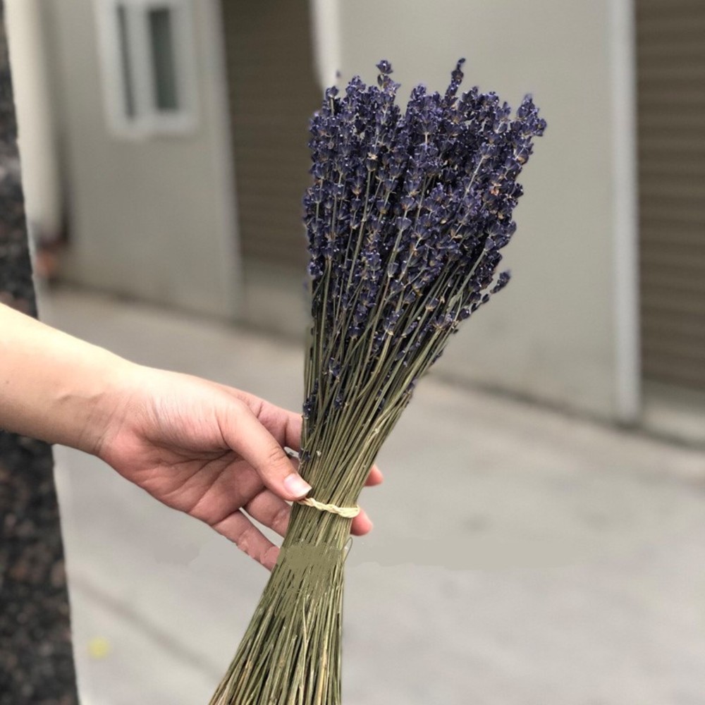 Bó Hoa Lavender Oải Hương Khô Nước Anh 150 gram - Khoảng 170 cành - Mùi thơm tự nhiên của hoa giúp đuổi côn trùng - giảm stress - mệt mỏi - Giúp dễ ngủ sâu giấc - Tượng chưng cho tình yêu đôi lứa.