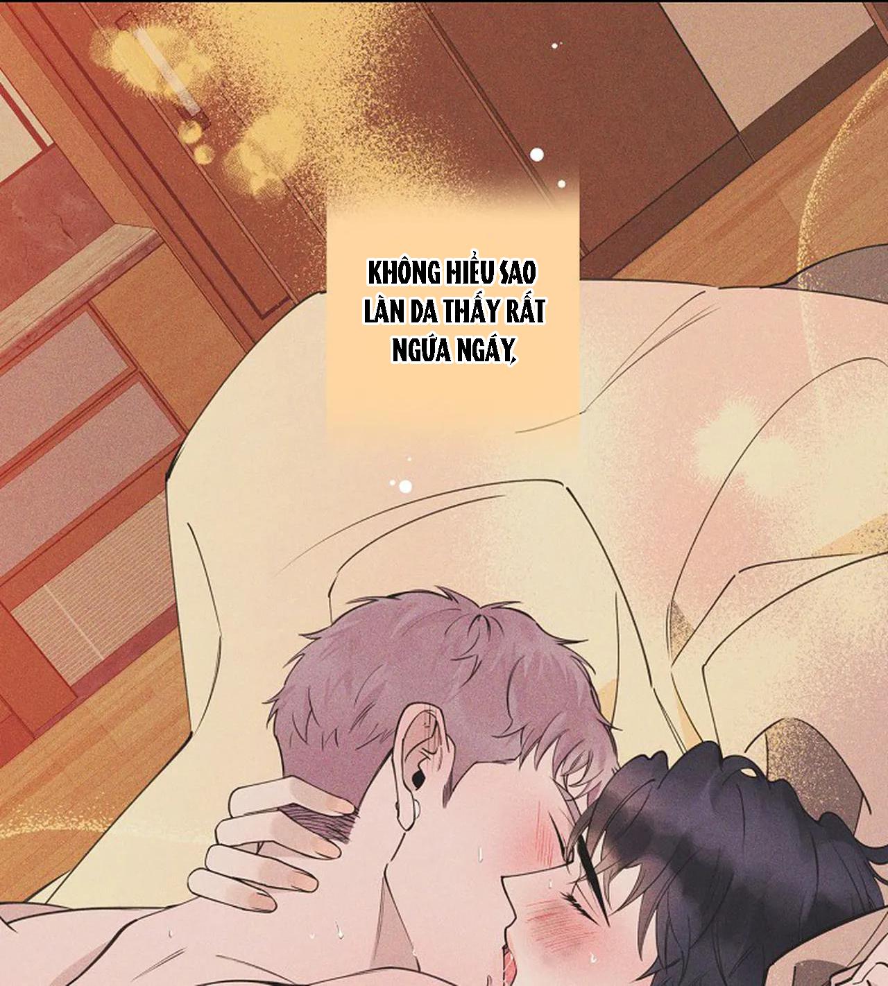 đêm dịu dàng chapter 15 21